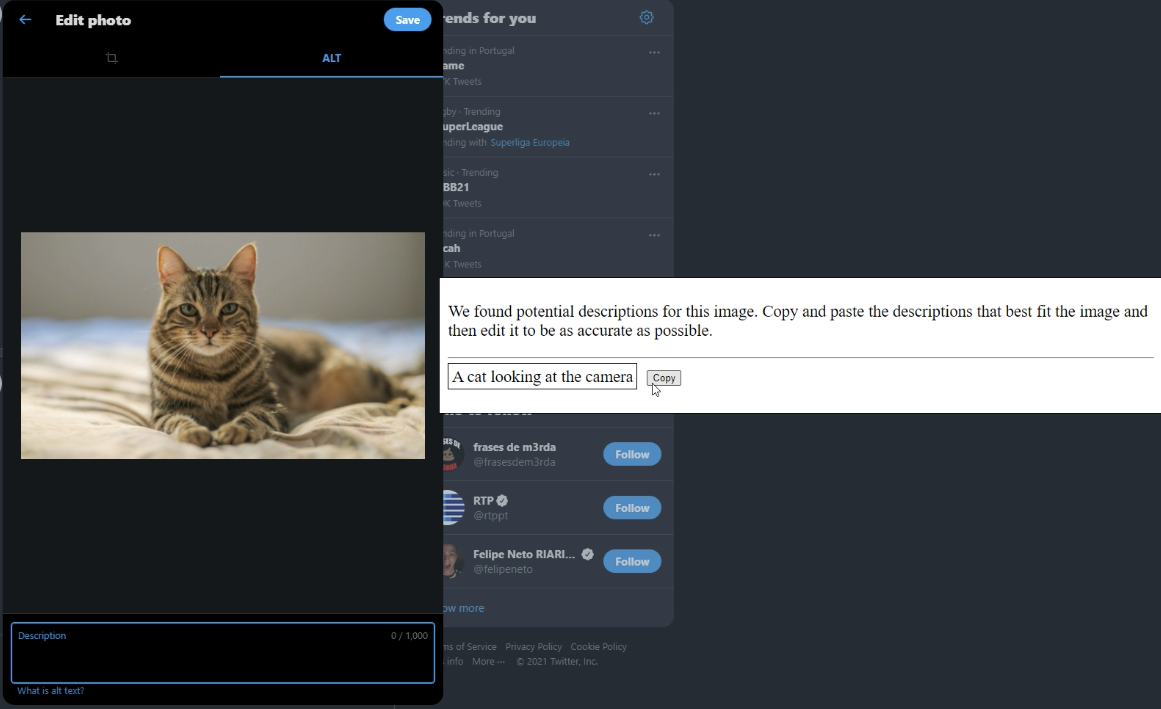 Twitter's media editing page containing a window next to it with a message indicating the potential suggestions indicated and a button to copy them to the clipboard