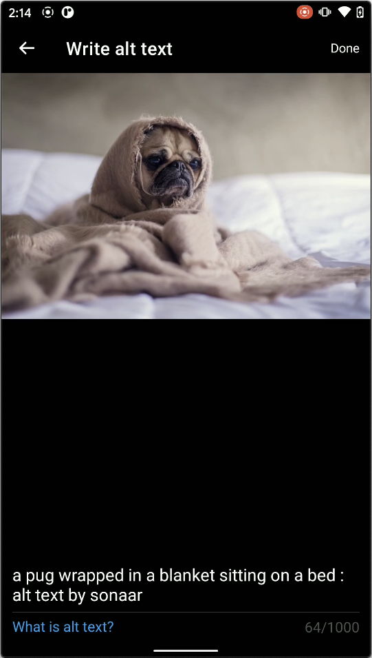 Twitter window to write alt text presenting the image uploaded followed by the description input box containing the text a pug wrapped in a blanket sitting on a bed: alt text by sonaar.