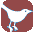 twitter page icon